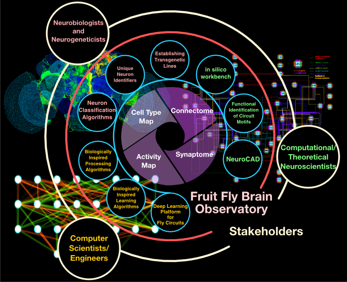 To detect new odors, fruit fly brains improve on a well-known computer  algorithm - Salk Institute for Biological Studies